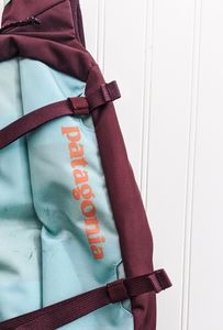 Patagonia Atom 8L Sling